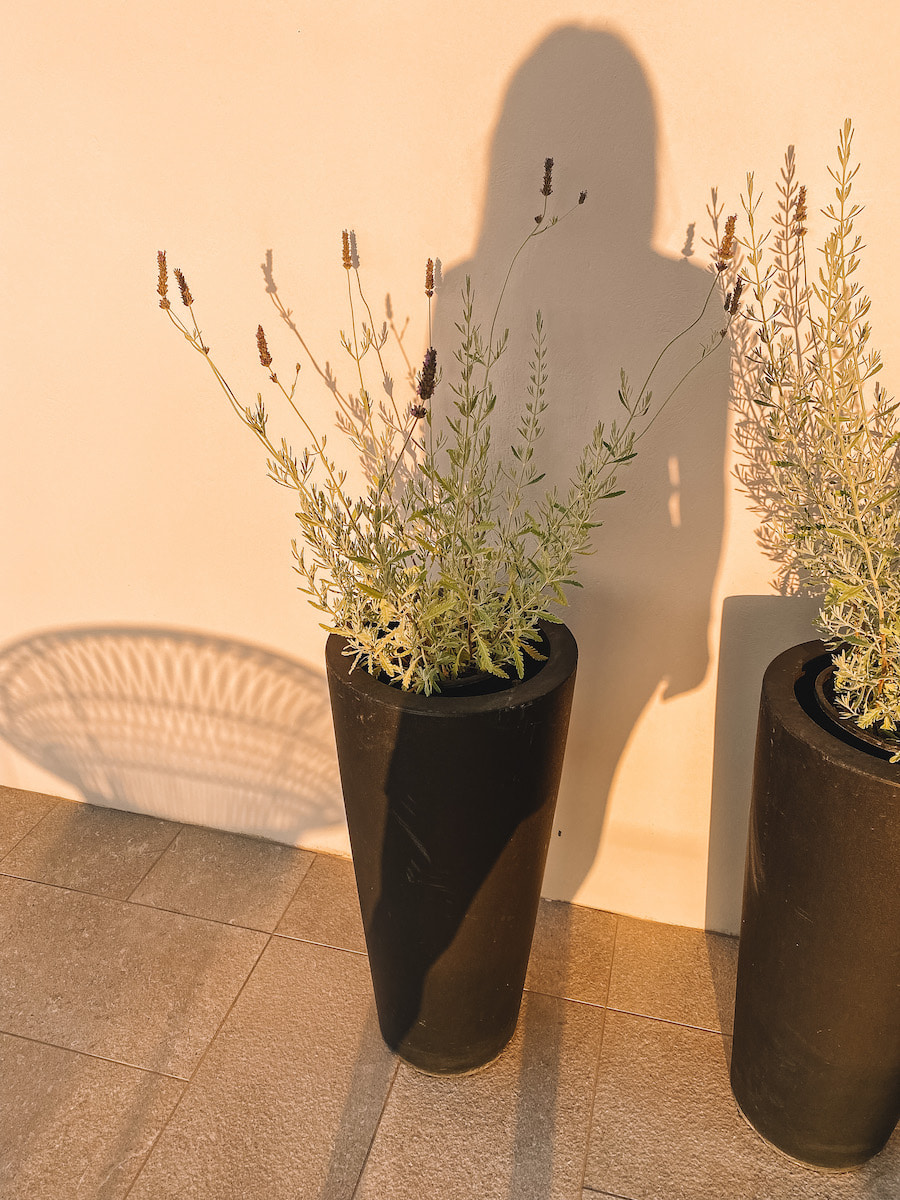 summer vases summer vases